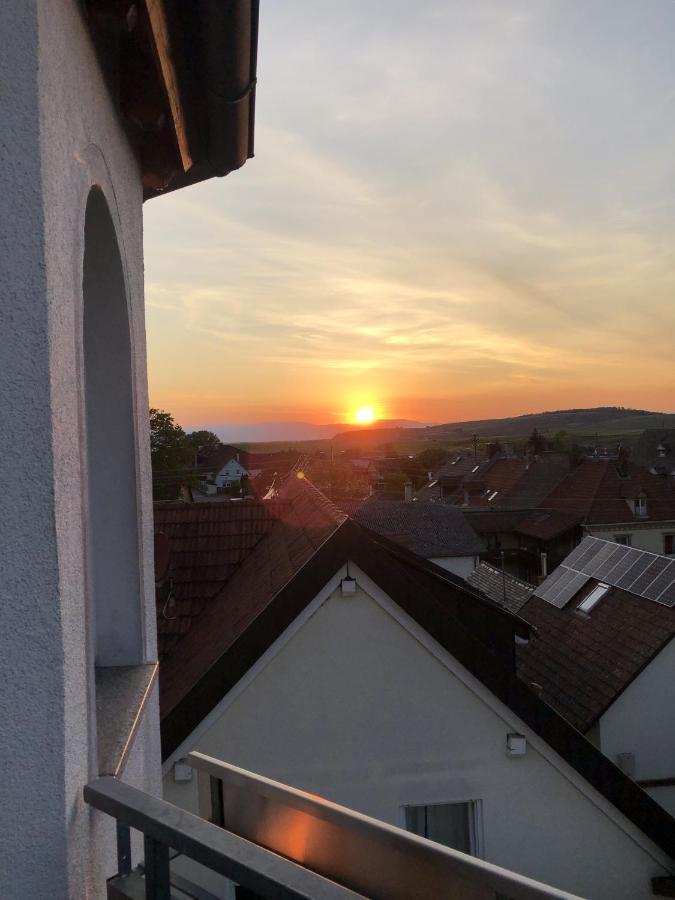 Ferienhaus Irene Appartement Vogtsburg Buitenkant foto