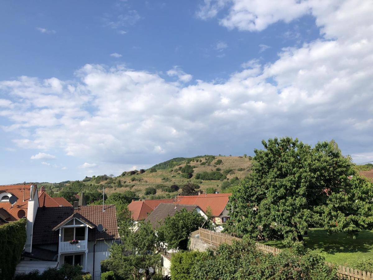 Ferienhaus Irene Appartement Vogtsburg Buitenkant foto