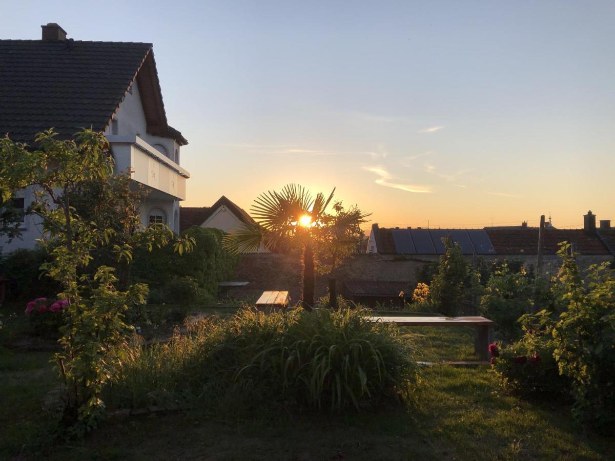 Ferienhaus Irene Appartement Vogtsburg Buitenkant foto