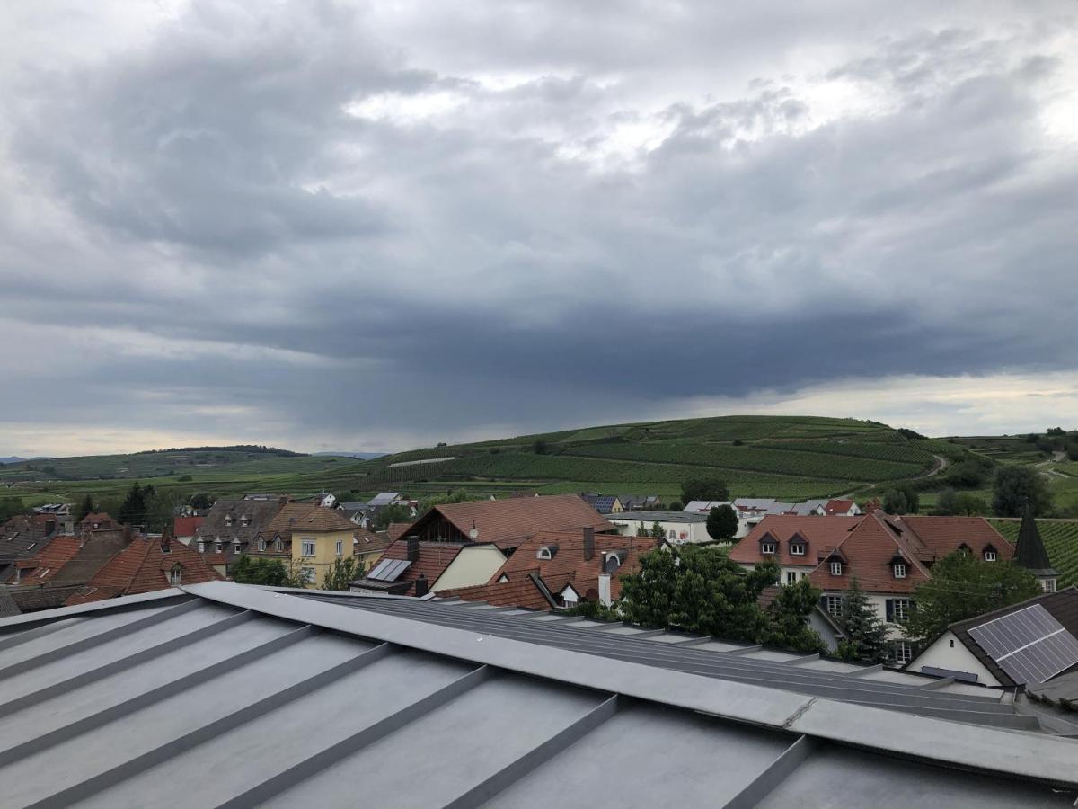 Ferienhaus Irene Appartement Vogtsburg Buitenkant foto