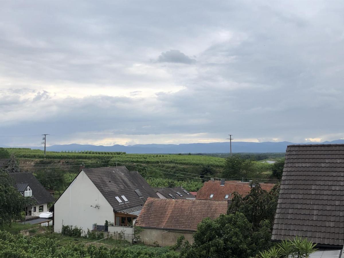 Ferienhaus Irene Appartement Vogtsburg Buitenkant foto